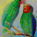 Parrots Paradise Contemporary 