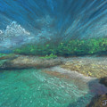 Smith's Cove Landscape